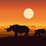 Wildlife Enforcement Officer